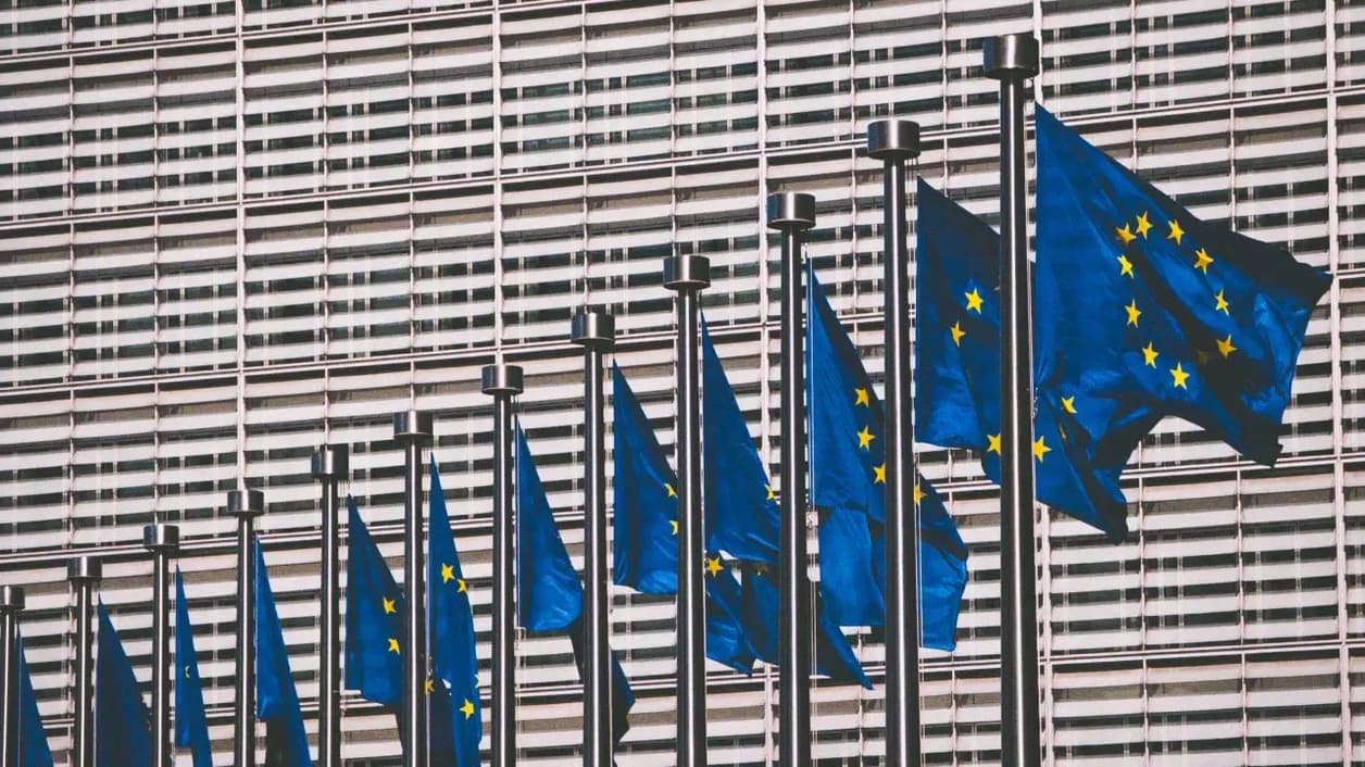 Why EU elections matter for private assets