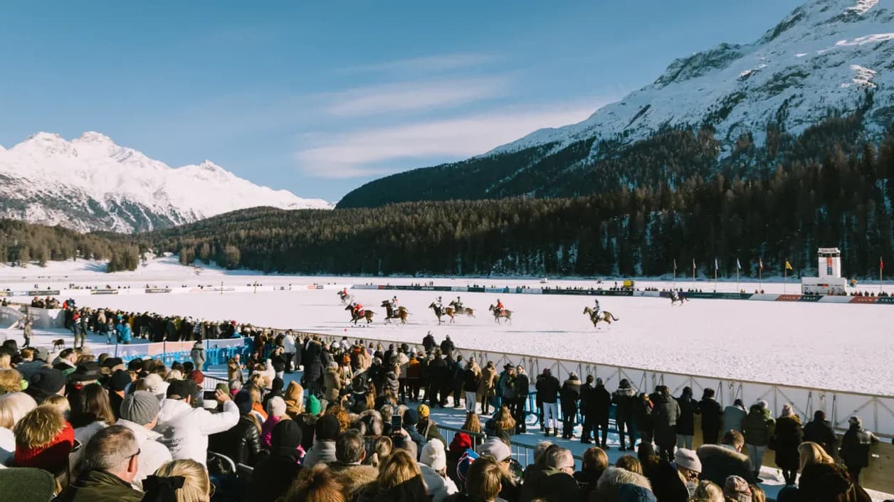 The month in Moonfare: our community in action