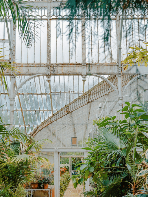 learn-ins-and-outs-image